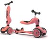 Scoot_and_Ride_Highwaykick1_2_in_1_kismotor/roller_PEACH